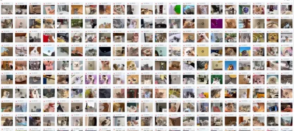 ১৫,০০০+ Viral Dog & Cat Reels | ফেসলেস Pet ভিডিও TikTok, Insta, YouTube-এ পোস্ট করুন! MRR + PLR সহ Resell করুন - Image 3