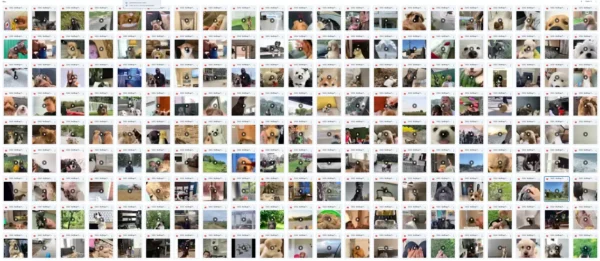 ১৫,০০০+ Viral Dog & Cat Reels | ফেসলেস Pet ভিডিও TikTok, Insta, YouTube-এ পোস্ট করুন! MRR + PLR সহ Resell করুন - Image 2