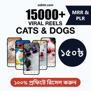 ১৫,০০০+ Viral Dog & Cat Reels | ফেসলেস Pet ভিডিও TikTok, Insta, YouTube-এ পোস্ট করুন! MRR + PLR সহ Resell করুন